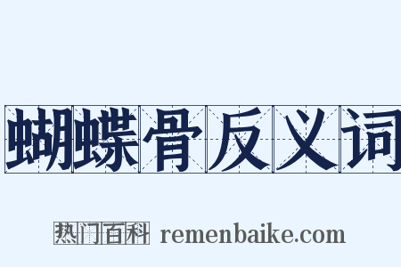 蝴蝶骨反义词是什么意思的图片